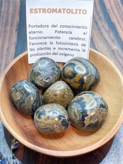 Rodado de Estromatolito