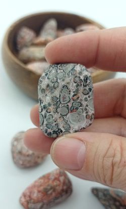 Rodado de Jaspe Leopardo