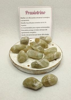 Rodado de Prasiotrino
