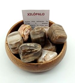 Rodado de Xilópalo