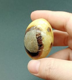 Rodado XL de Septaria - Ref.2