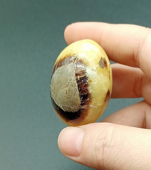 Rodado XL de Septaria - Ref.2