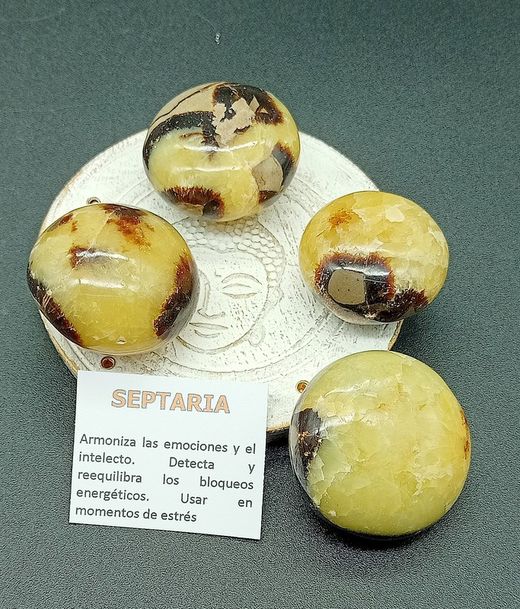 Rodado XL de Septaria - Ref.2