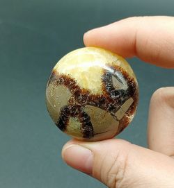 Rodado XL de Septaria - Ref.4