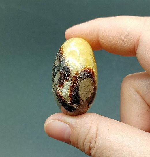 Rodado XL de Septaria - Ref.4