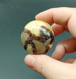 Rodado XL de Septaria - Ref.4