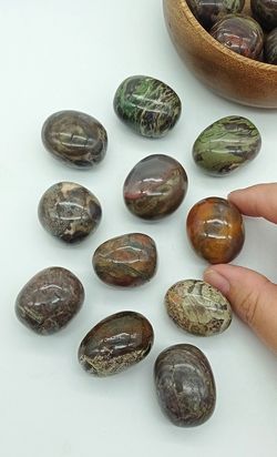 Rodados Ágata Money