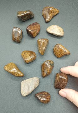 Rodados de Broncita