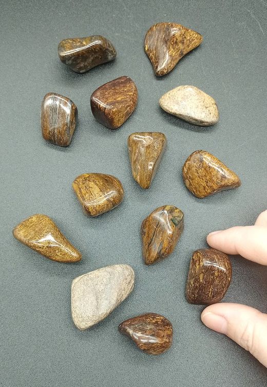 Rodados de Broncita