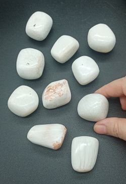 Rodados de Escolecita