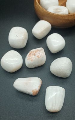 Rodados de Escolecita