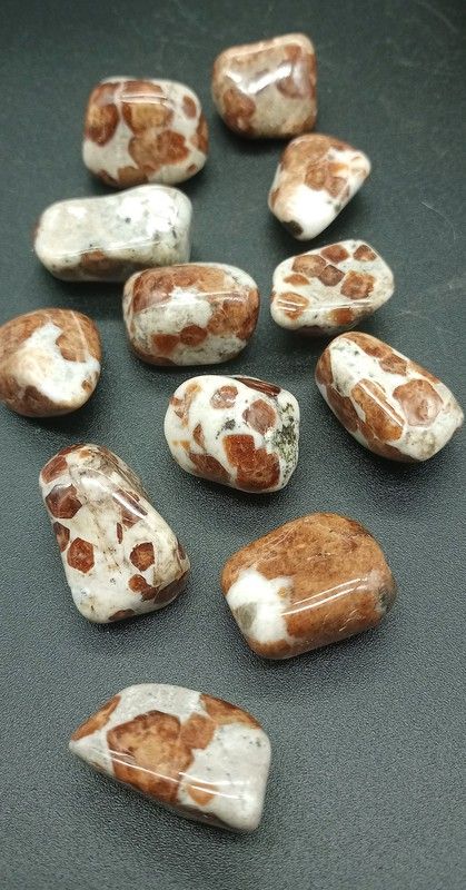 Rodados de Granate Grosularia