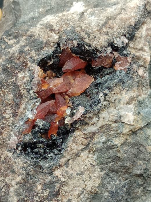 Rodocrosita cristales escalenoédricos