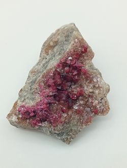 Roselita - Ex colección Folch