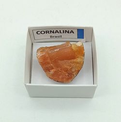 Minerales en cajita de 4x4