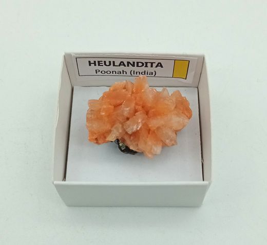 Minerales en cajita de 4x4