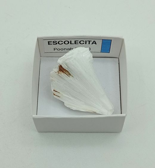 Minerales en cajita de 4x4