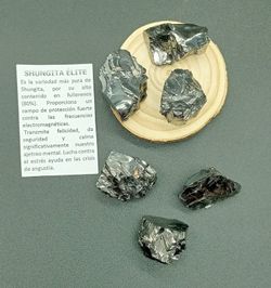 Shungita Elite en bruto