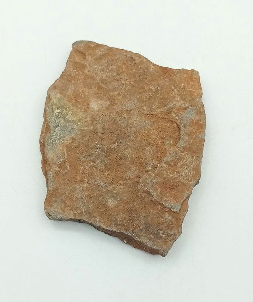 Stenaster (estrella de mar fósil)