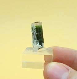 Turmalina bicolor (cristal individual)