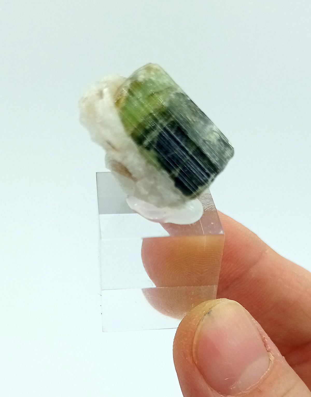 Turmalina bicolor disposición zonal