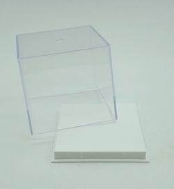 Urna de plástico con base blanca 80x80