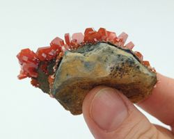 Vanadinita cristales prismáticos en matriz