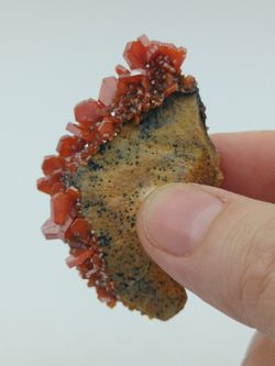 Vanadinita cristales prismáticos en matriz