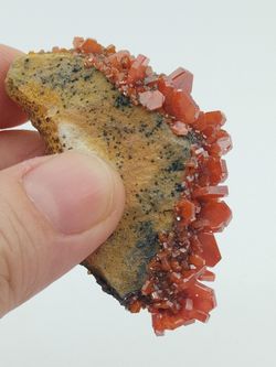 Vanadinita cristales prismáticos en matriz