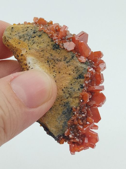 Vanadinita cristales prismáticos en matriz