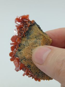 Vanadinita cristales prismáticos en matriz