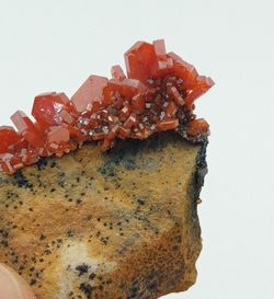 Vanadinita cristales prismáticos en matriz