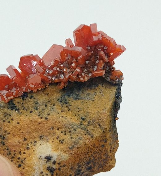 Vanadinita cristales prismáticos en matriz