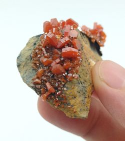 Vanadinita cristales prismáticos en matriz