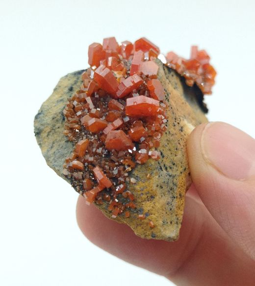 Vanadinita cristales prismáticos en matriz