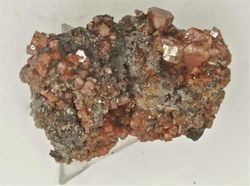 Vanadinita cristales prismáticos en matriz