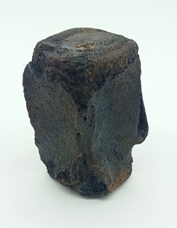 Vertebra de Cetáceo