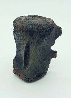 Vertebra de Cetáceo