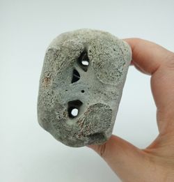 Vertebra de Cetáceo - pieza individual