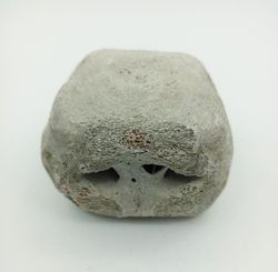 Vertebra de Cetáceo - pieza individual