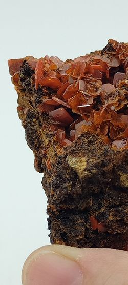 Wulfenita de cristales naranja intenso