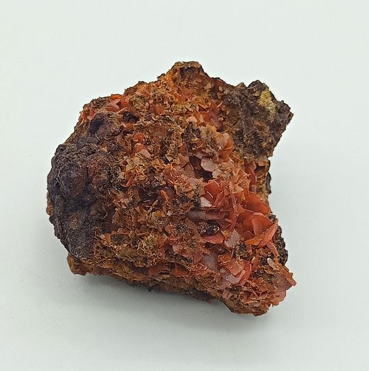 Wulfenita de cristales naranja intenso