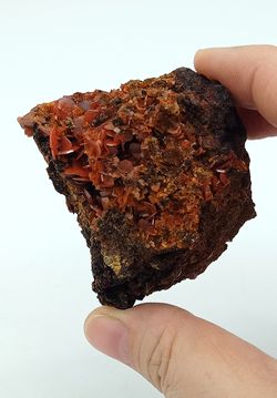 Wulfenita de cristales naranja intenso