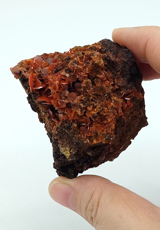Wulfenita de cristales naranja intenso