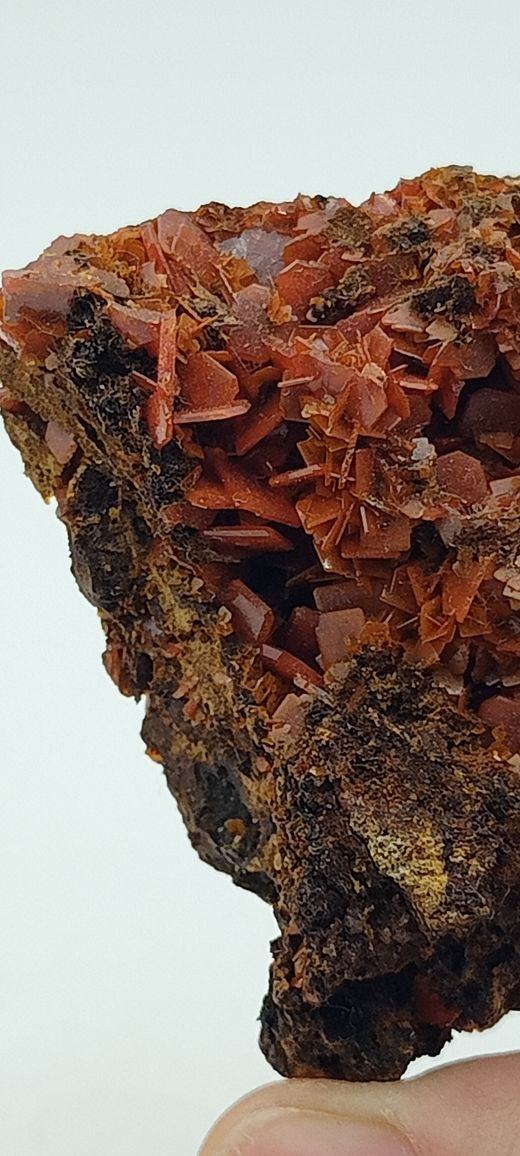 Wulfenita de cristales naranja intenso