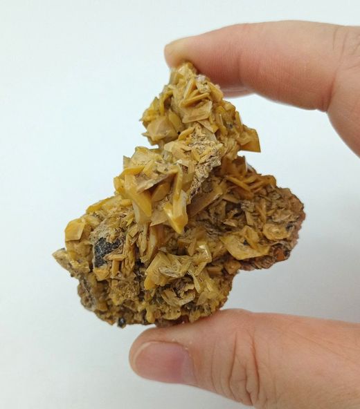 Wulfenita
