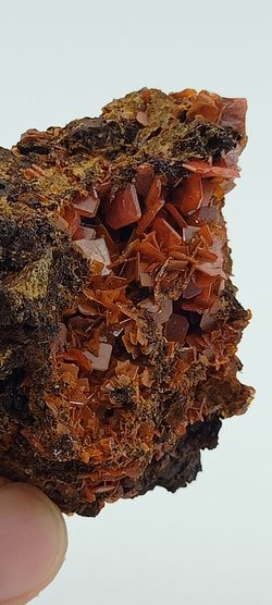 Wulfenita de cristales naranja intenso