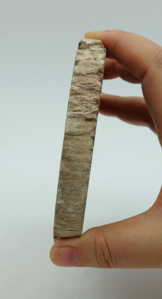 Tronco fósil (Araucoxylon) - Ref. 6