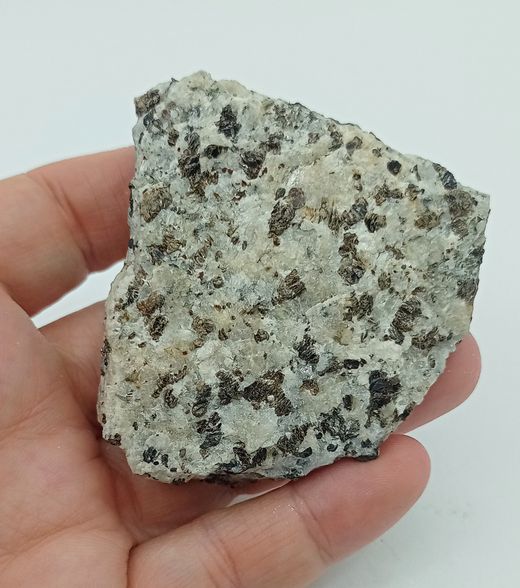 Zircón en Flogopita