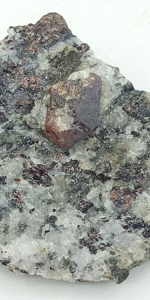 Zircón en Flogopita